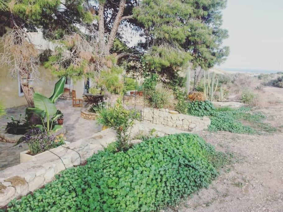 Oasis De Ifre Villa Canada de Gallego Exterior photo
